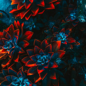 Accueil freelance artist floral 4